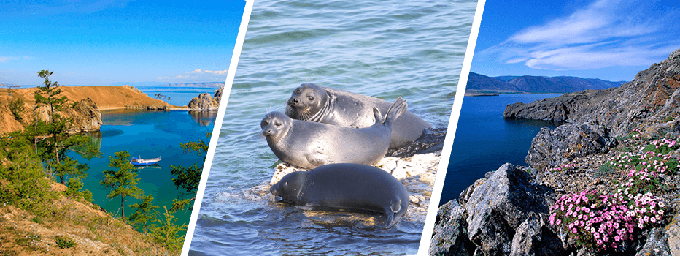 Lake Baikal Summer Tour - 7 Days Of Siberian Wonder!