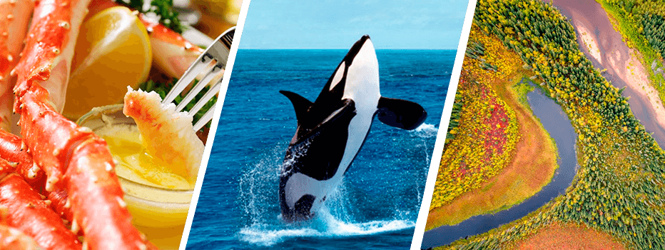 Arctic Adventure Awaits: Discover a Secluded Summer Paradise in Murmansk!