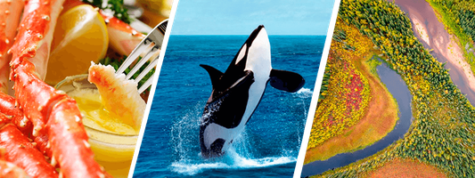 Arctic Adventure Awaits: Discover a Secluded Summer Paradise in Murmansk!